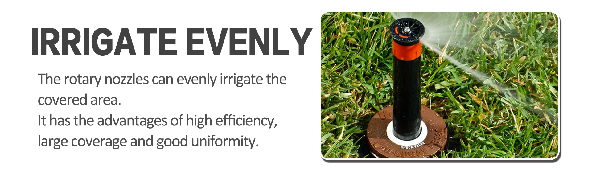 独立站-店铺装修--修改10-22_16