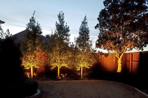 Brass Spot Light
